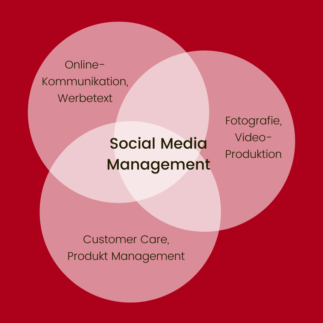 Daniela Haushälter, Social Media Management + Content Production